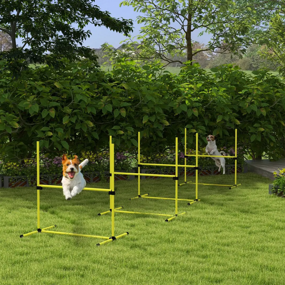 Pawhut Agility-Set Honden 4 Hürden - 99x65x94cm - Geel