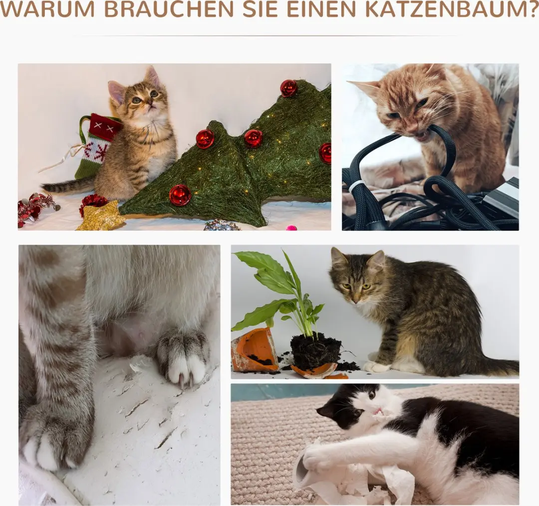 Pawhut Kattenkrabboom D30-202 - 3 Niveaus - 3 Ligplekken - Ø40cm