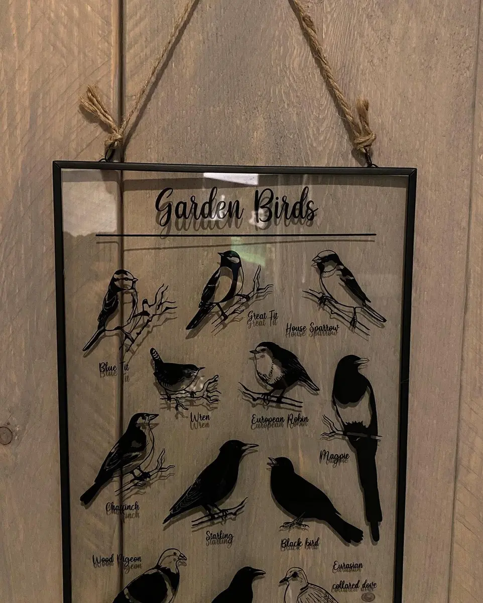 Esschert Design Glazen Prent Tuinvogels 20x30cm - Zwart-wit