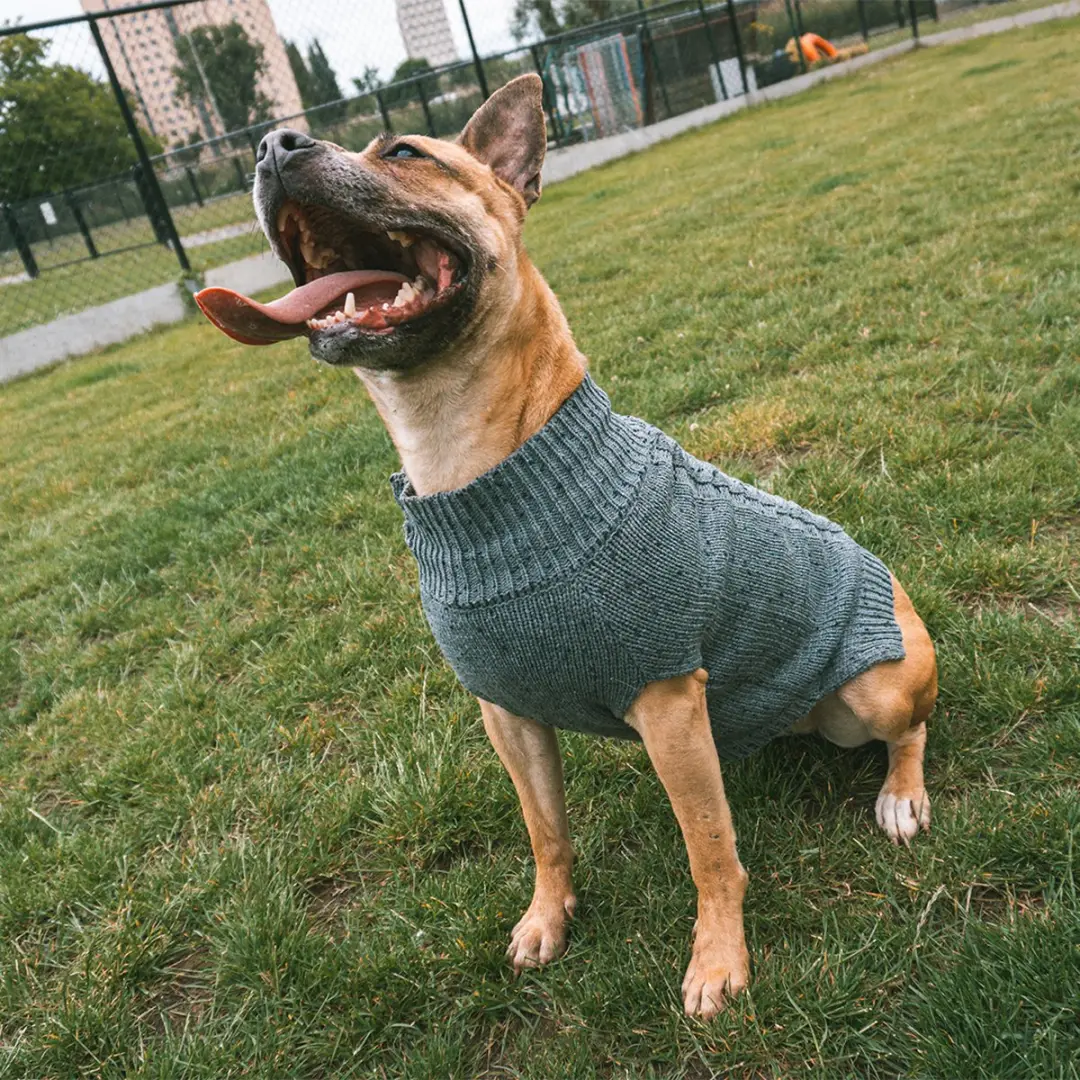 Duvo Cozy M Hondensweater - 50cm Grijs