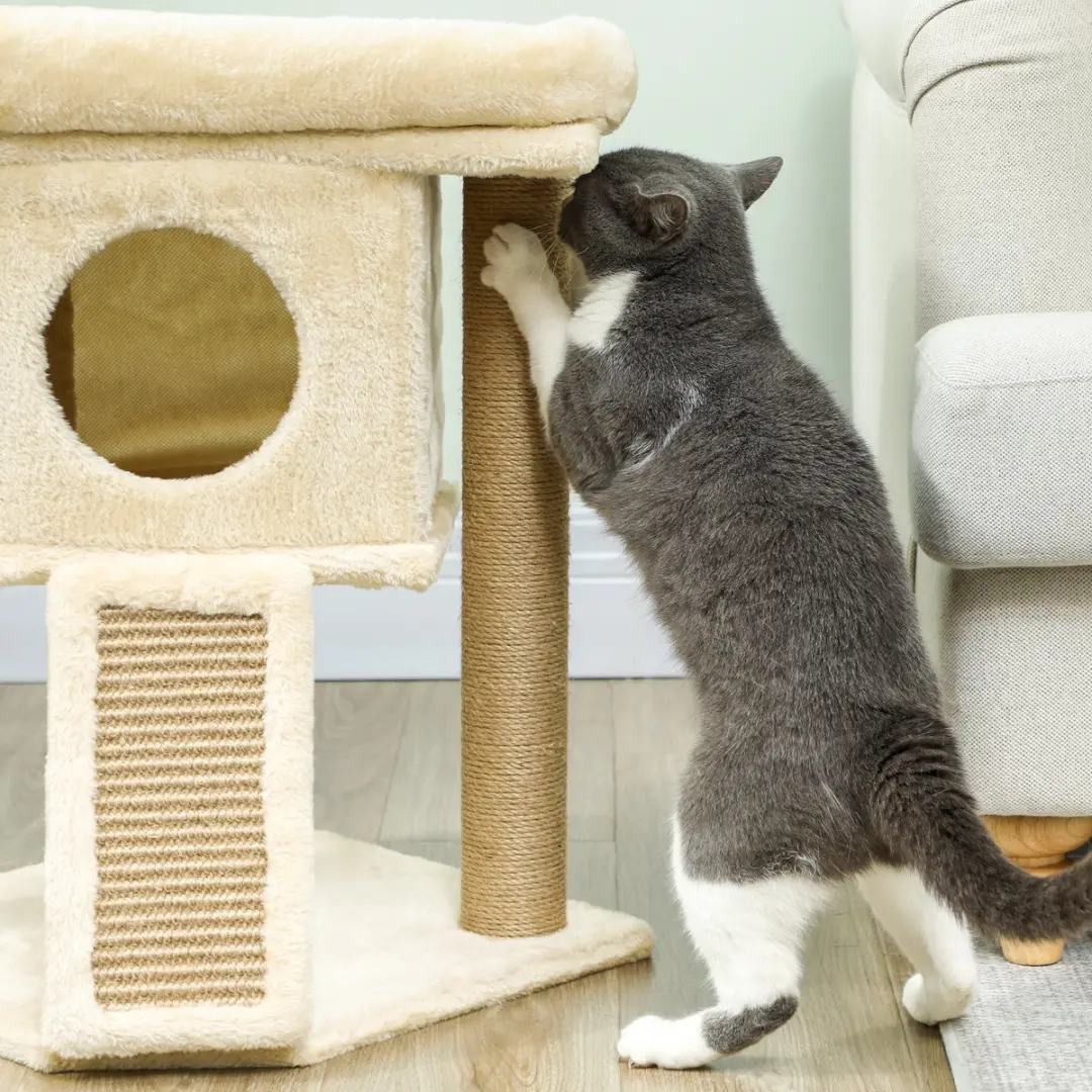 Pawhut Kratzbaum Krabpaal Beige - 2 Ligplekken