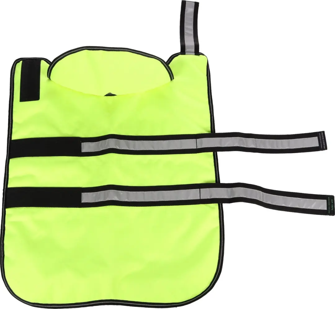 Flamingo Winterjas Eisbär Hondenjas - Maat 55cm - Fluogeel
