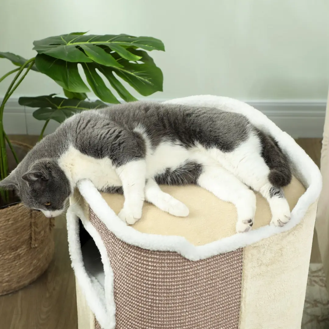 Pawhut Kratztonne Kattenboom 3 Laag - 40x40cm - Beige/Wit