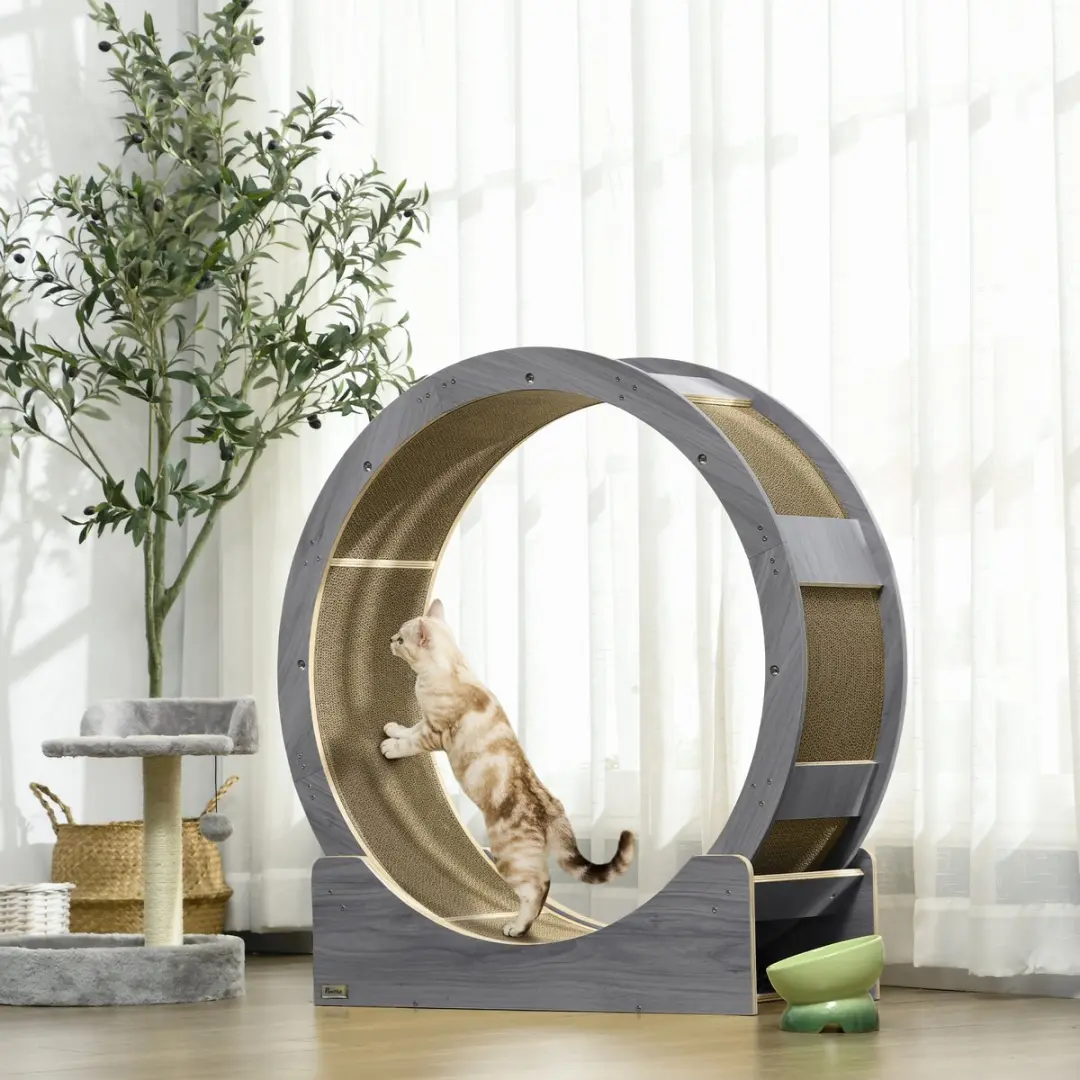Pawhut Katzenlaufrad 91cm - Grau