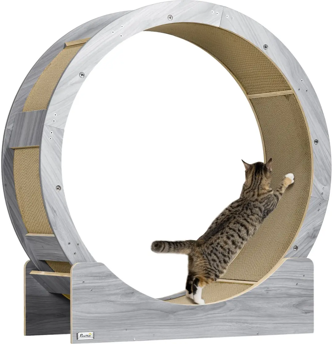 Pawhut Katzenlaufrad 91cm - Grau