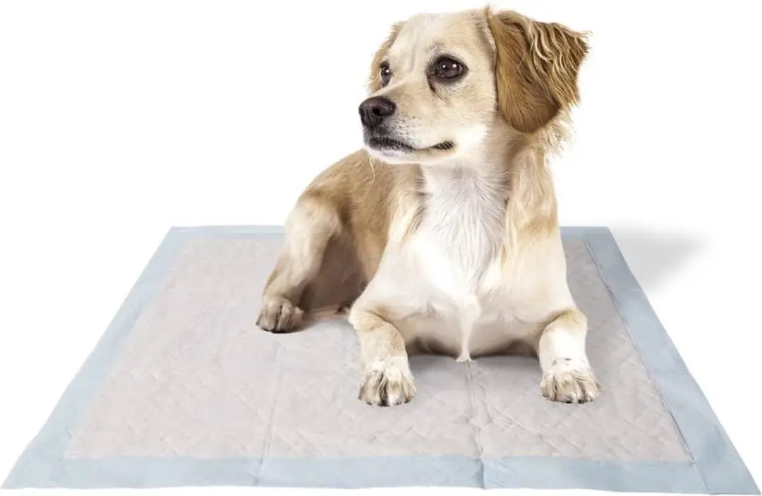 Ferplast Genico Basic Hondenpads 60x60cm - 50 Stuks - Wit