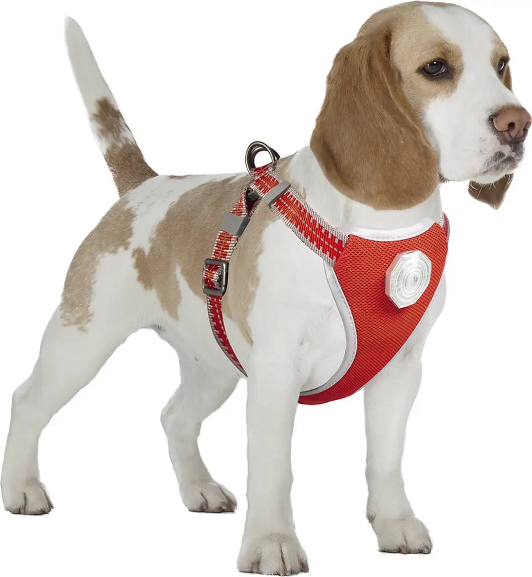 Duvo Dierenkleding Flashlight Harnas Hond 120x45-55cm