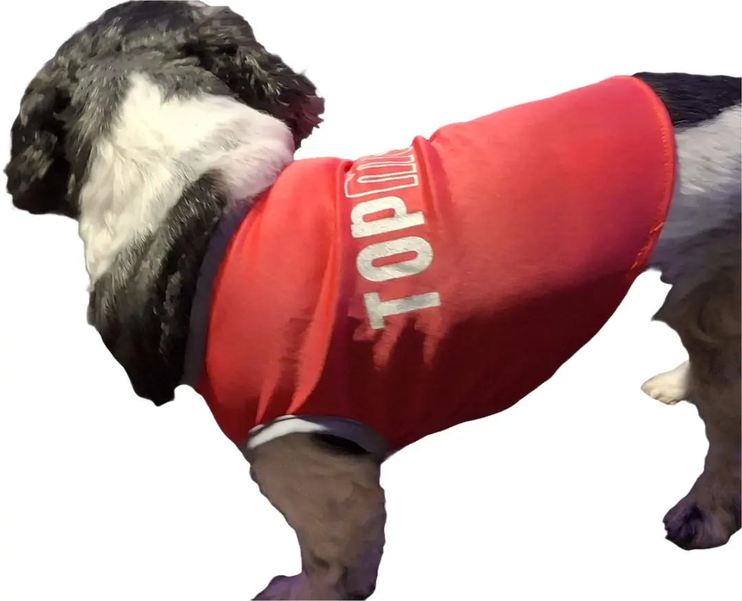 Present Time Topmodel Honden T-Shirt - Roze XS