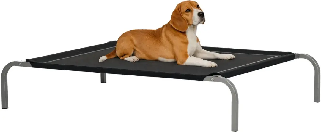 Pawhut Verhoogd Hondenbed 110x75x20cm