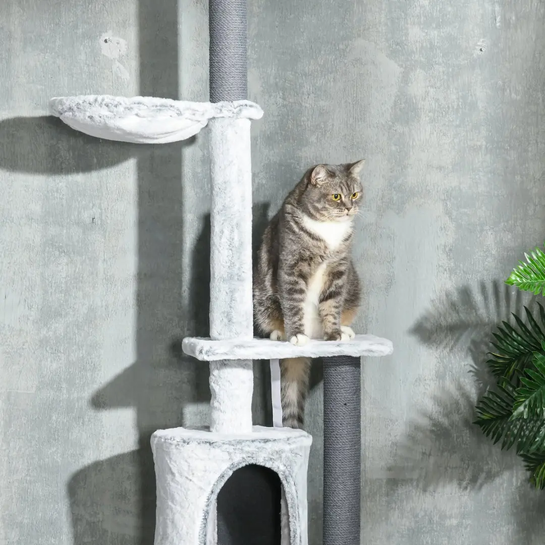 Pawhut Kratzbaum Deckenhoch 225-255cm Kattenboom - 5 Niveaus - 5 Ligplekken - Grijs