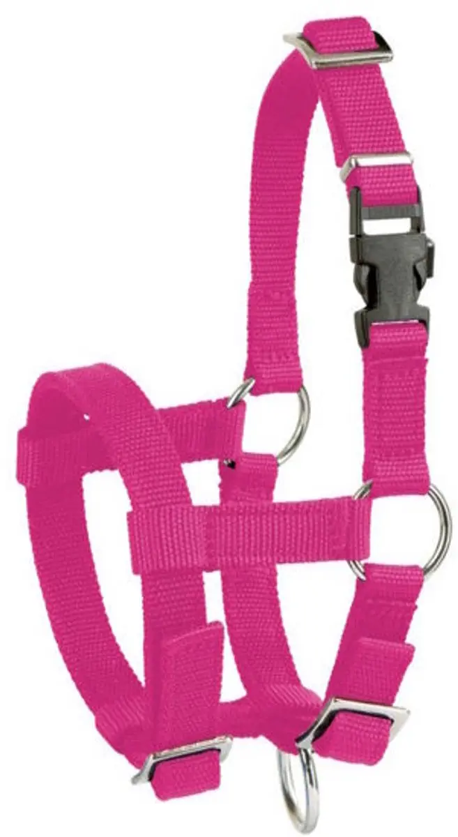 Kerbl Alpaca Halster Roze
