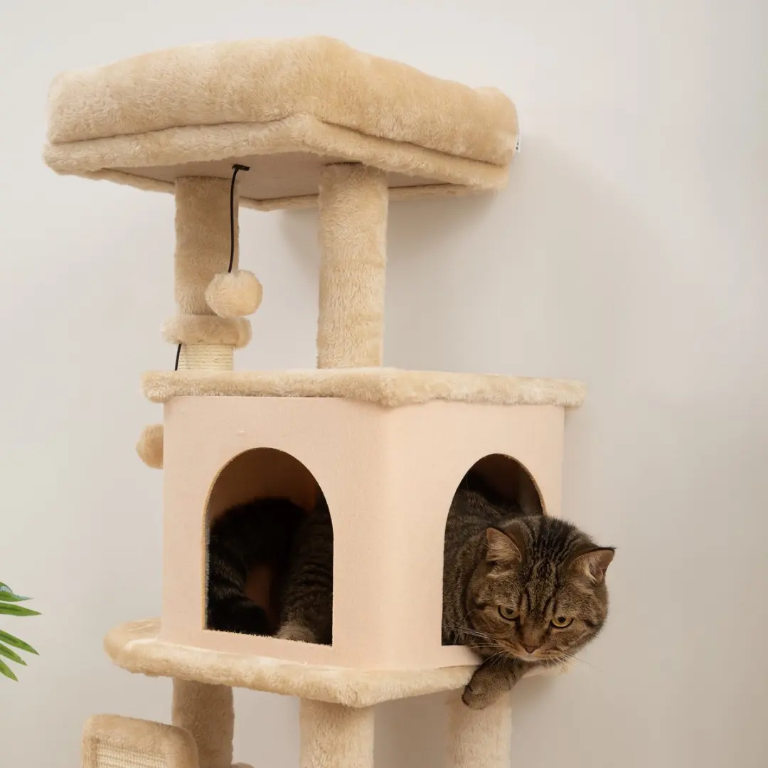 Pawhut Krabpaal Kat Beige - 44x34x104cm