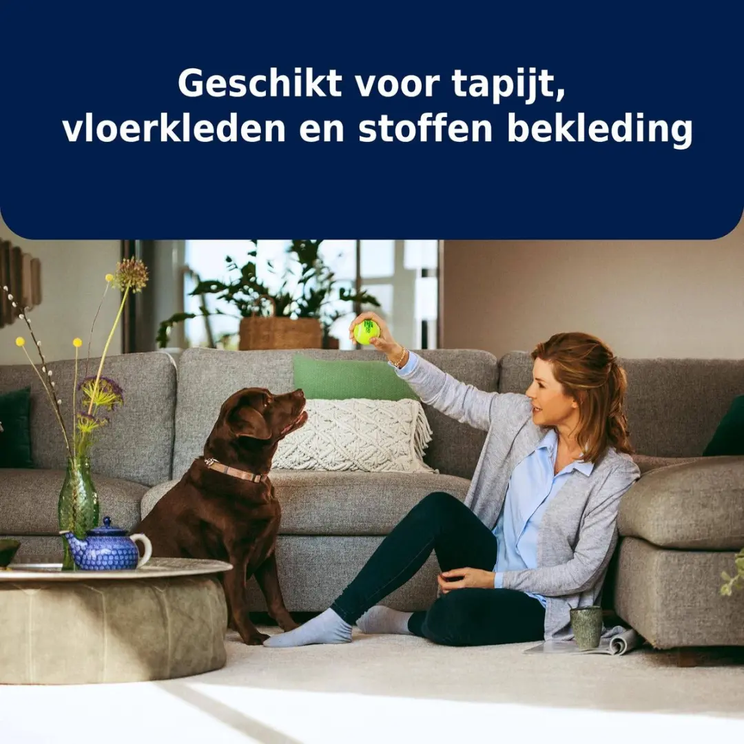 Bissell Pet Stain Pretreat Spray 650ml