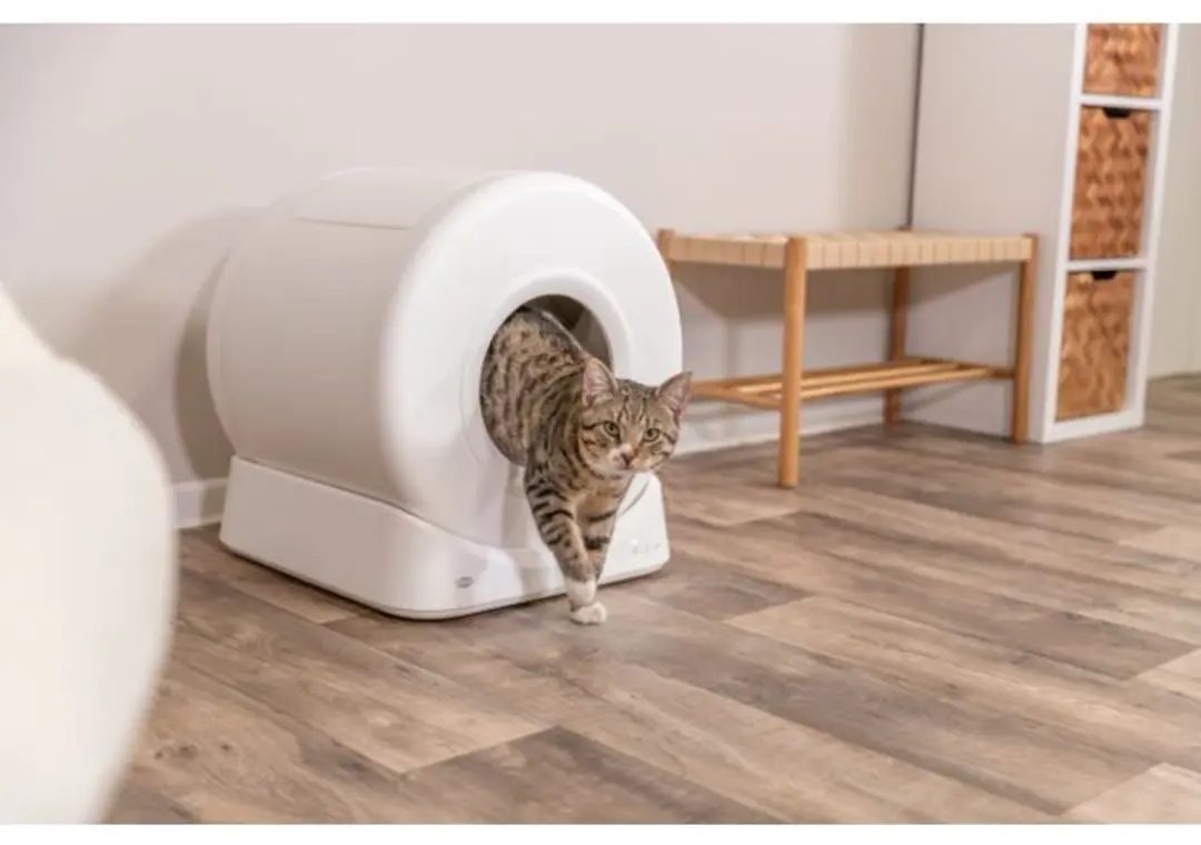 Trixie Smart Zelfreinigende Kattenbak Wit 51x54x56cm
