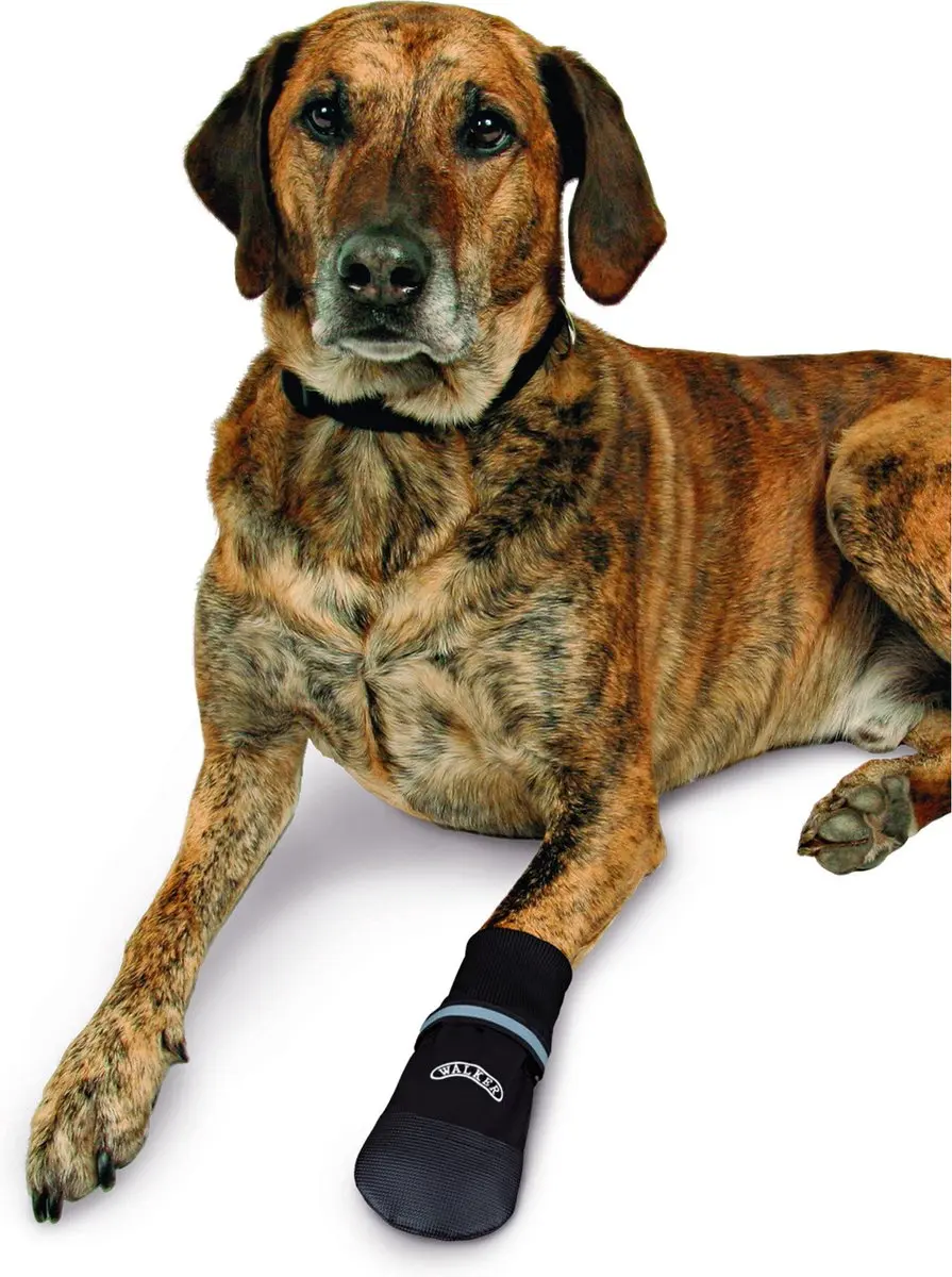 Trixie Walker Care Comfort Hondenschoenen S - Zwart - afbeelding 6 van 6