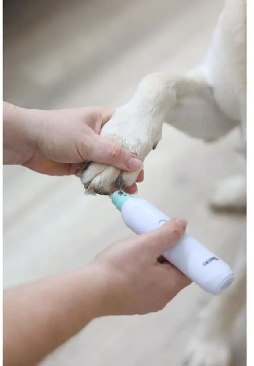 Kerbl Nagelvijl - Wit - Voor honden/katten/kleine dieren