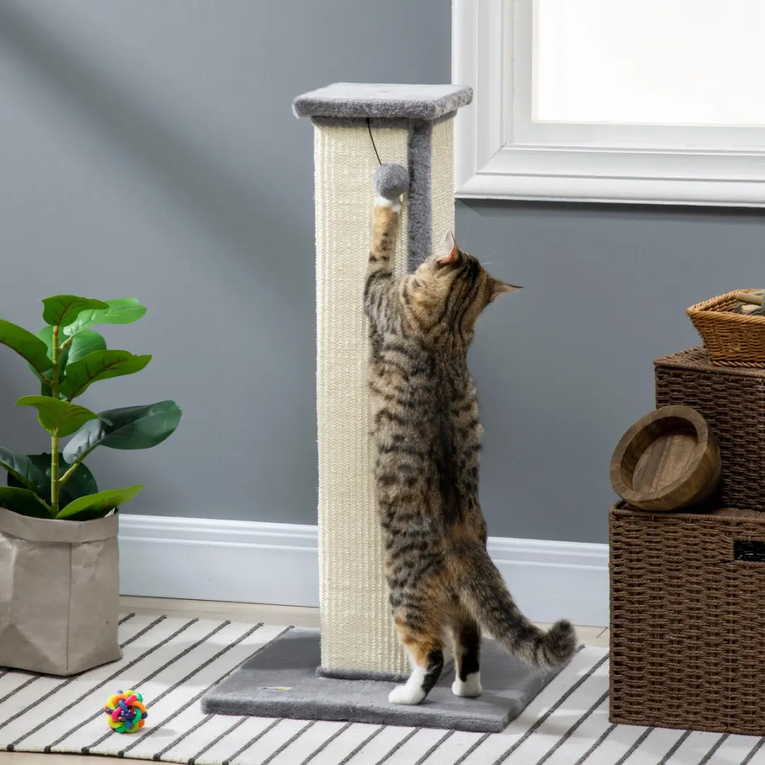 Pawhut Kratzstamm 81cm Kattenkrabpaal - 14,5cm Ø - Grijs/Crème