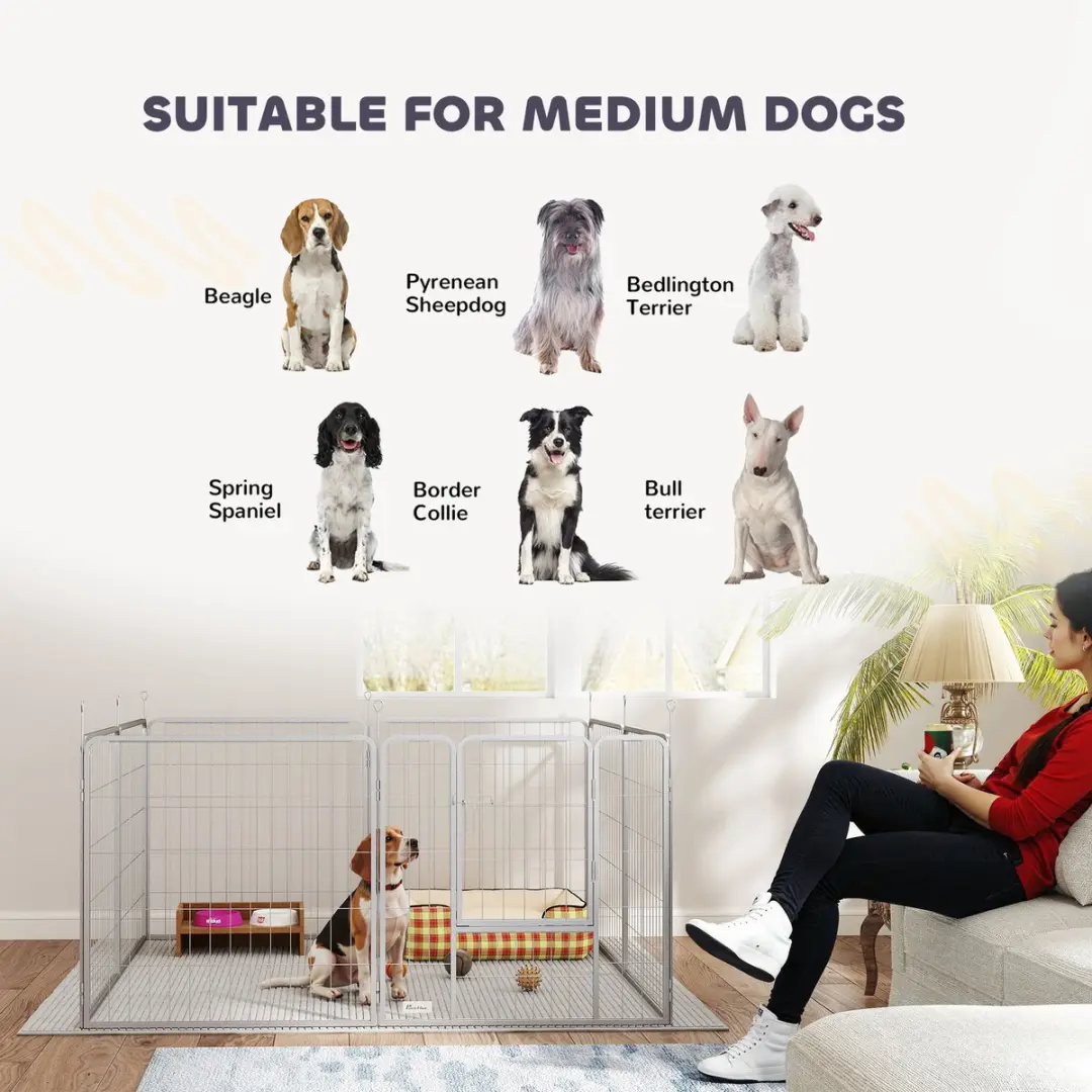 Pawhut Puppyren 240x80x80cm - Zilver