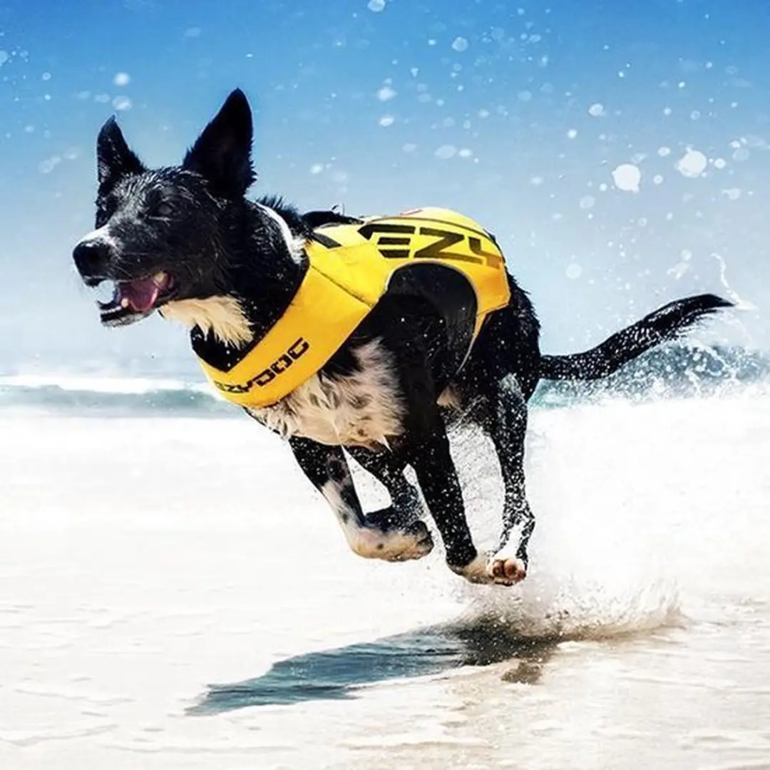 Ezydog DFD Boost Zwemvest Hond 2XS - Roze