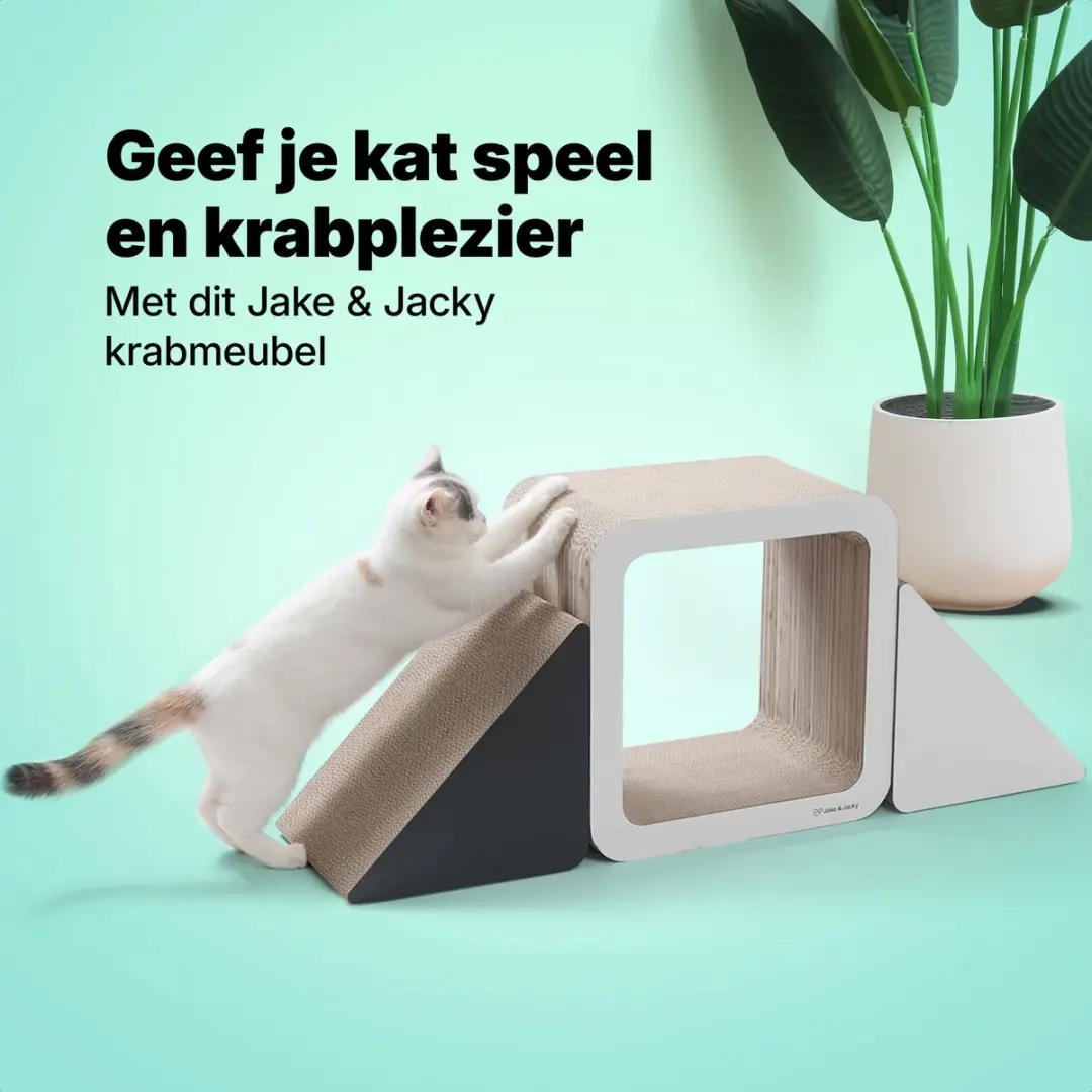 Jake and Jacky Krabkarton Kattenbed - 3 Stuks - Wit/Zwart