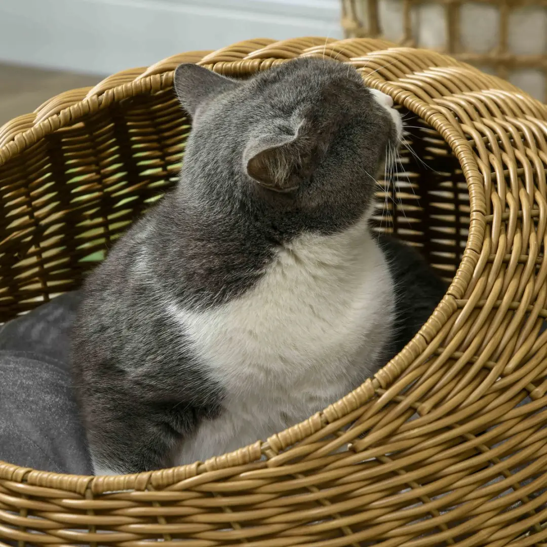 Pawhut Rattan Kattenhuis Ø50x31cm - PE-Rattan - Hellbraun
