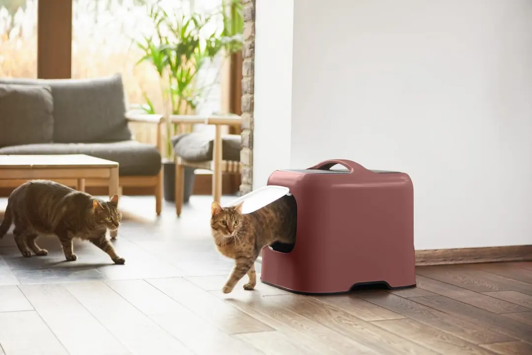 Rotho Biala Kattentoilet - 0,60L - Rood