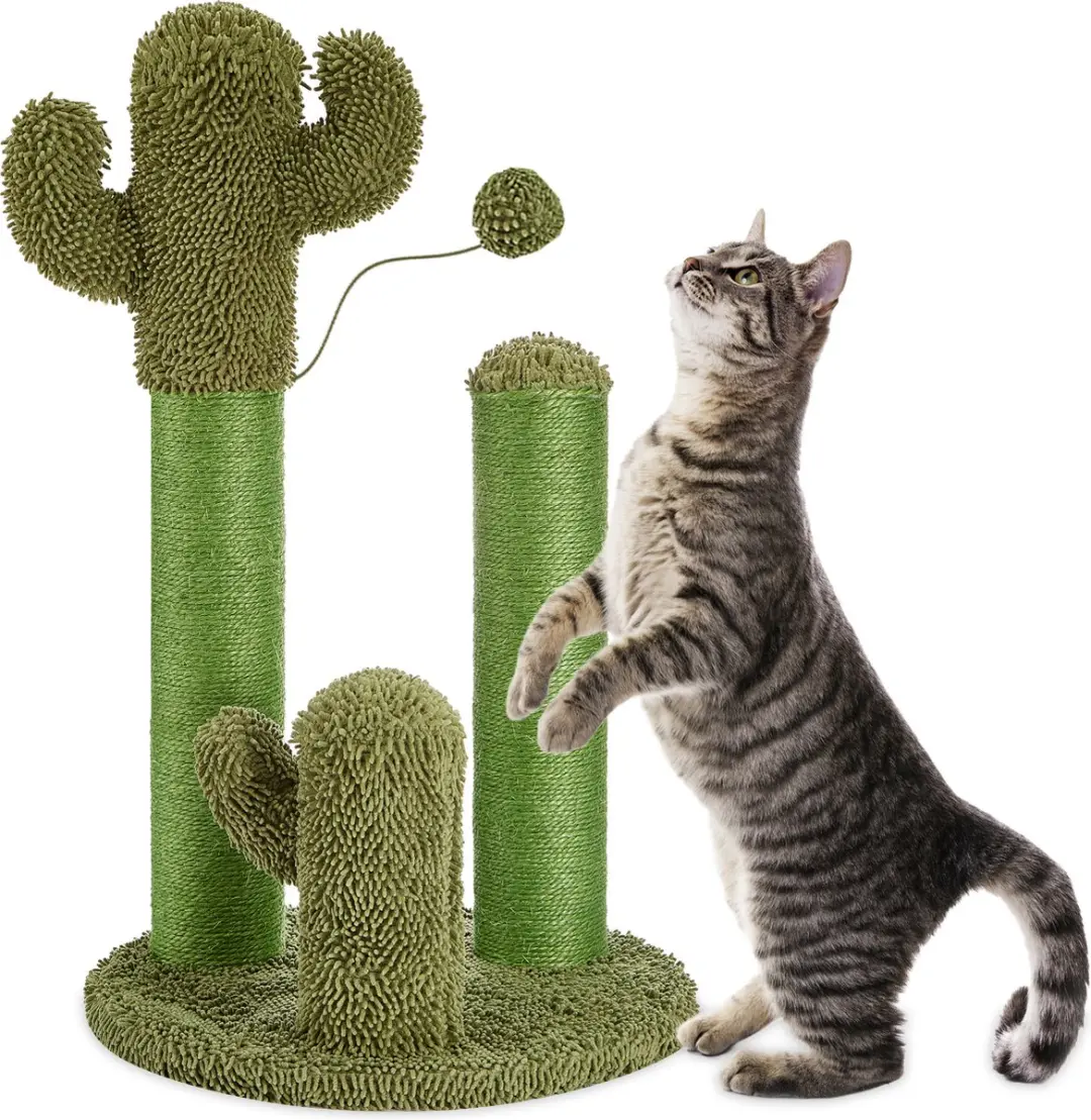 Jake and Jacky Krabpaal Cactus Groen