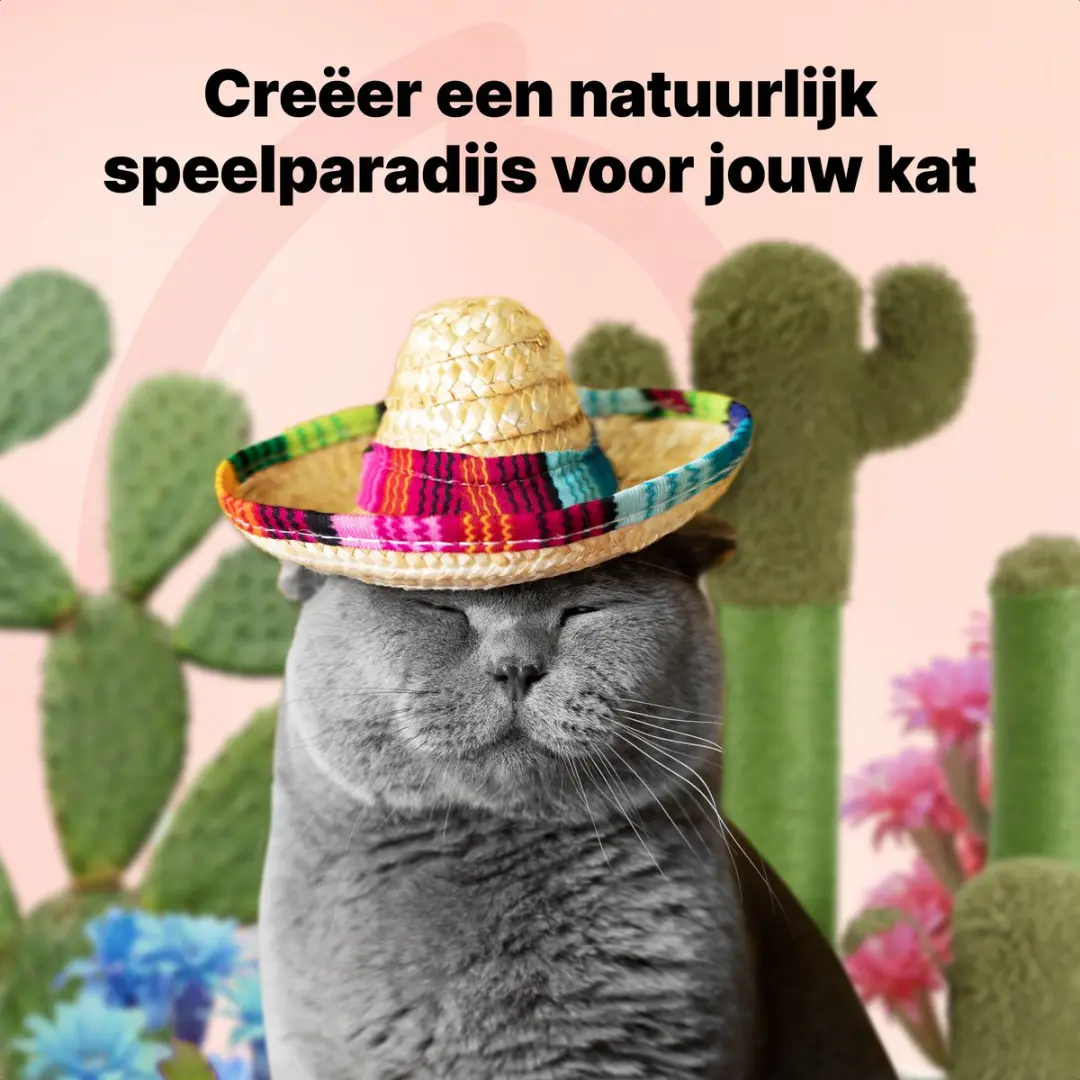Jake and Jacky Krabpaal Cactus Groen - 70cm - 1 Ligplek