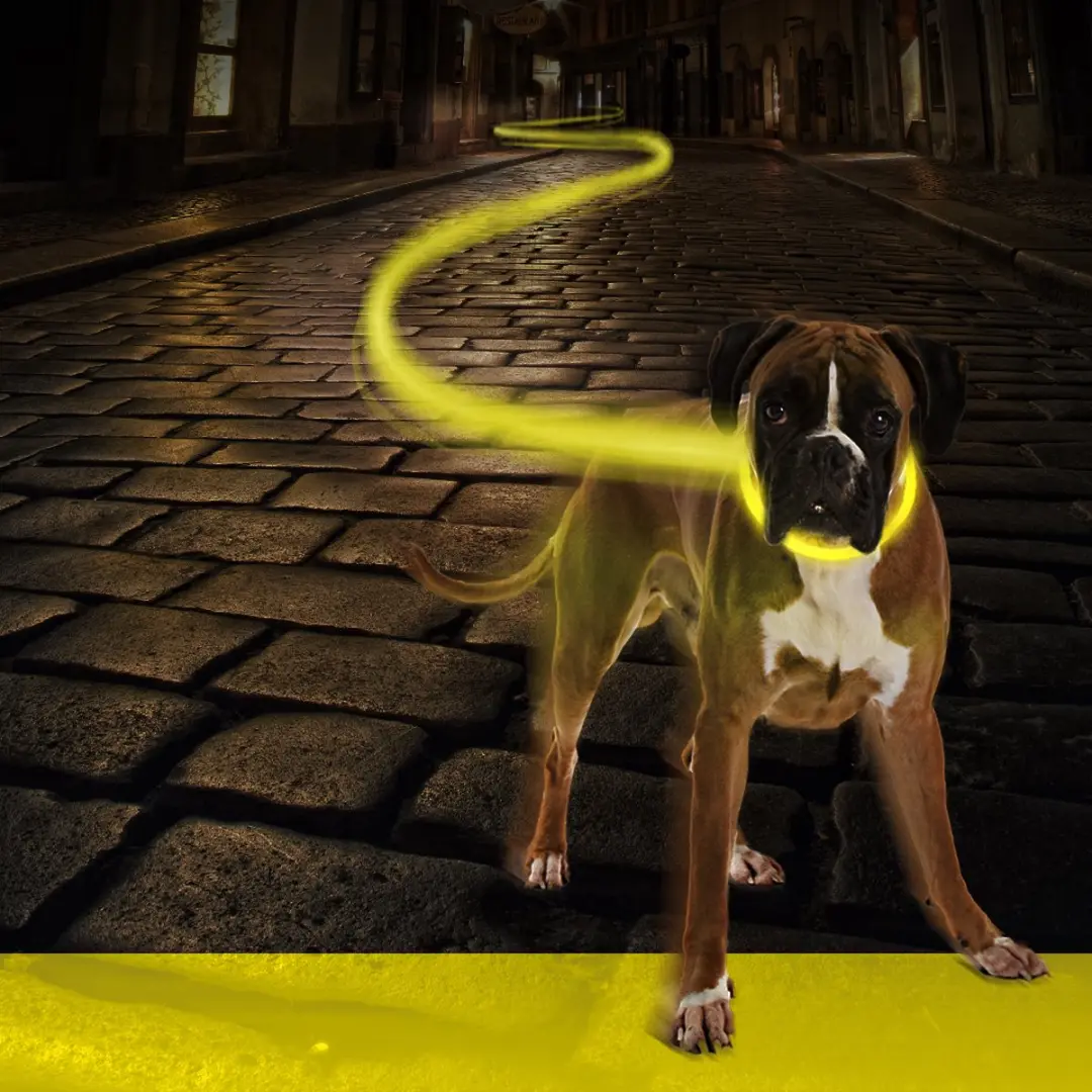 Duvo Dierenkleding Hond Halsband Nylon Neon Geel 50-70cm