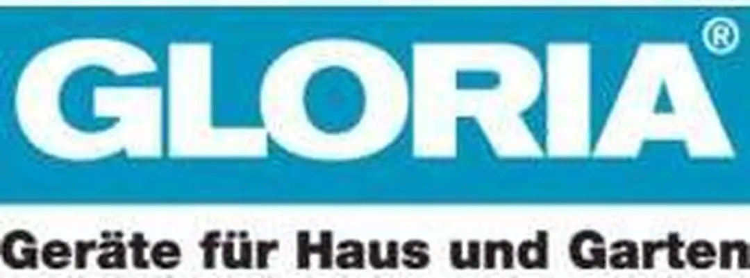 Gloria Voegenreiniger Blauw - 1x Voegenborstel