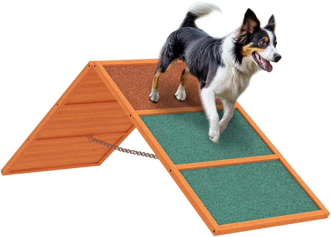 Pawhut Honden Agility Steg
