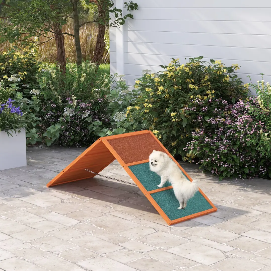 Pawhut Honden Agility Steg - Klapbare brug 173x59cm - Orange