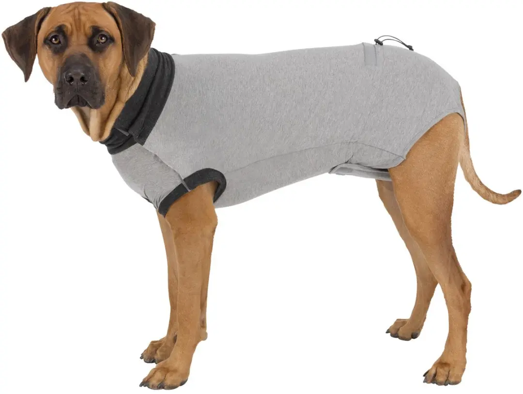 Trixie Beschermingspak Hond Na Operatie - Grijs XS