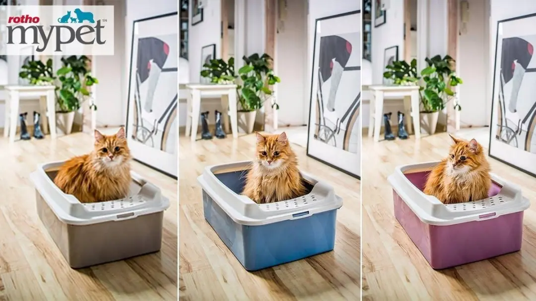 Rotho Bonnie Kattenbak met Rand Groen