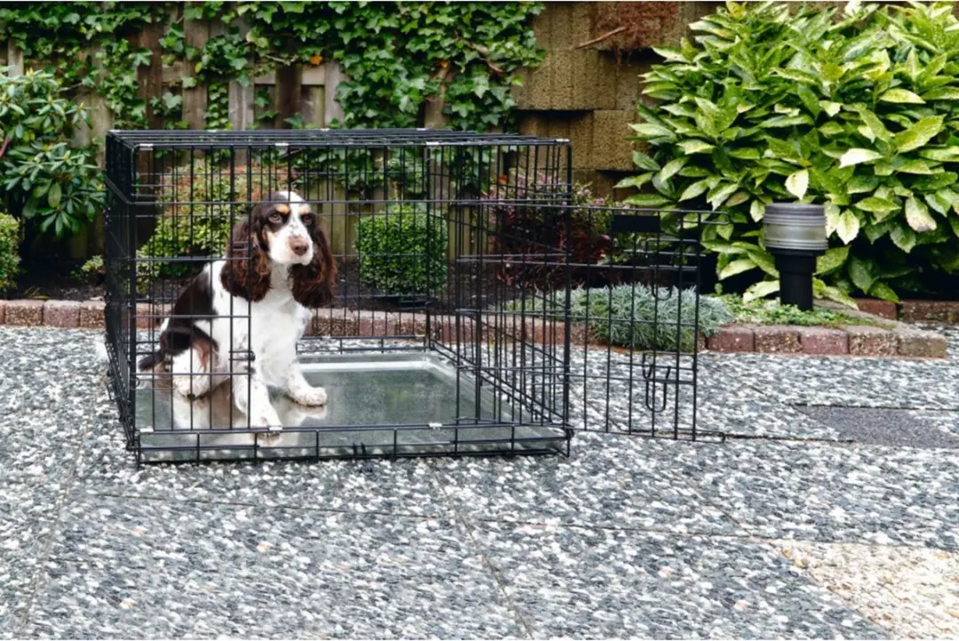 Beeztees Hondenbench 2 Deurs L - 89x60x66cm - Zwart