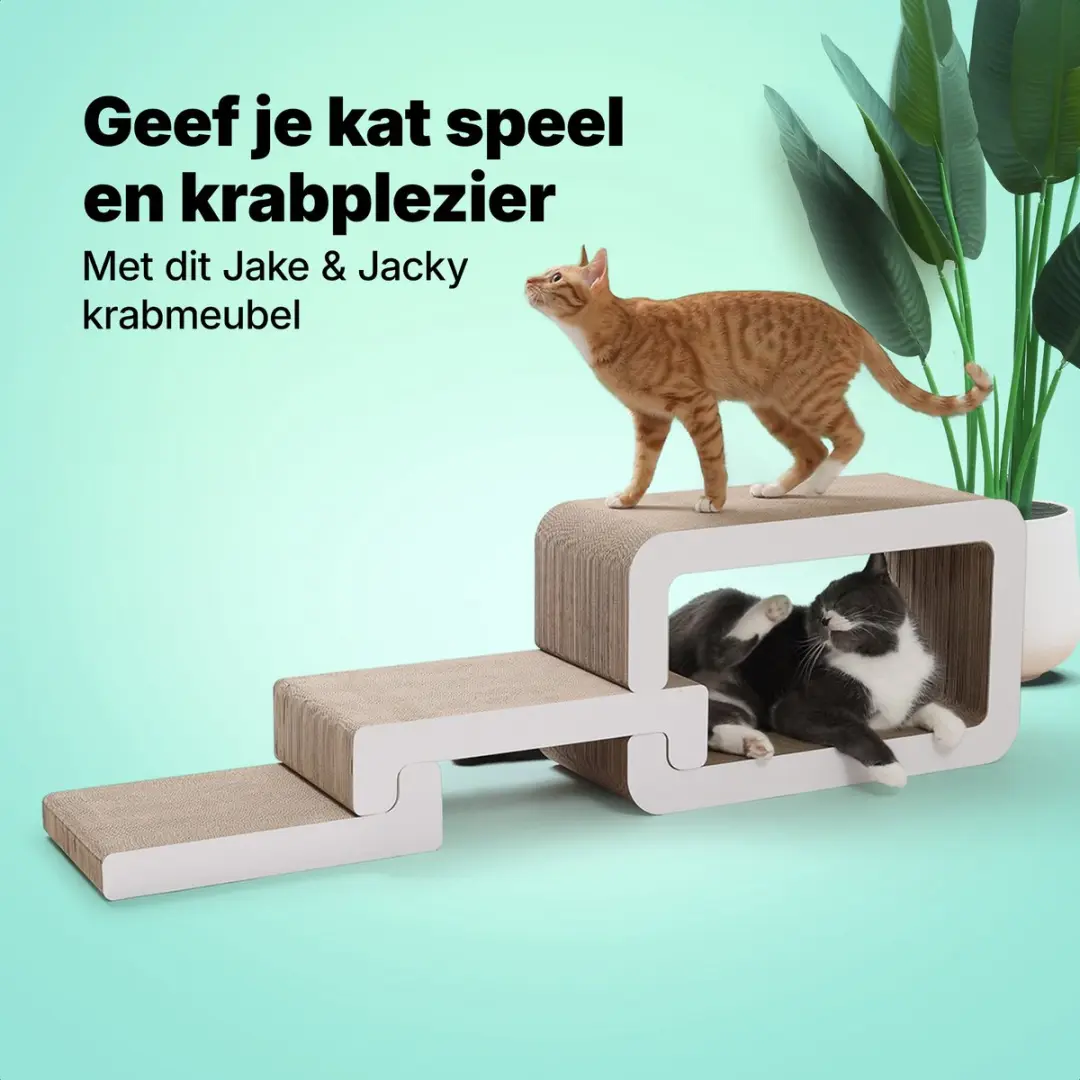 Jake and Jacky Krabkarton voor Katten 116x33x24cm - Trap Wit - 4 Ligplekken