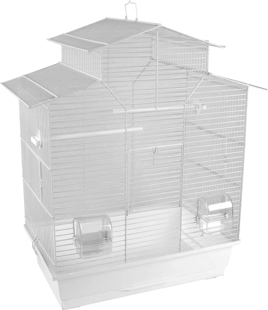 Flamingo Vogelkooi Numfor 1