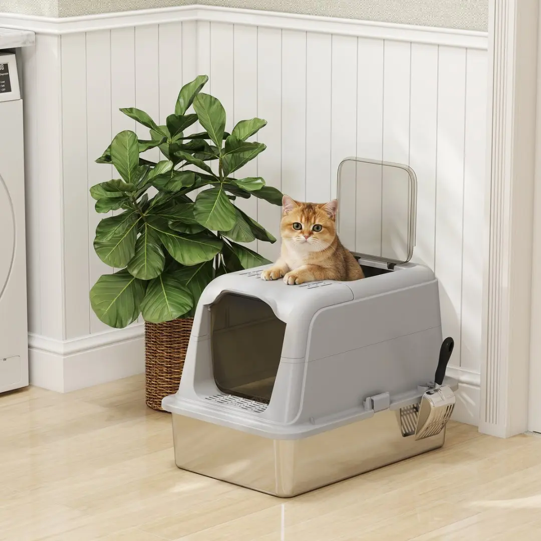 Pawhut Kattenbak met accessoires - 60x40cm - Hellgrijs