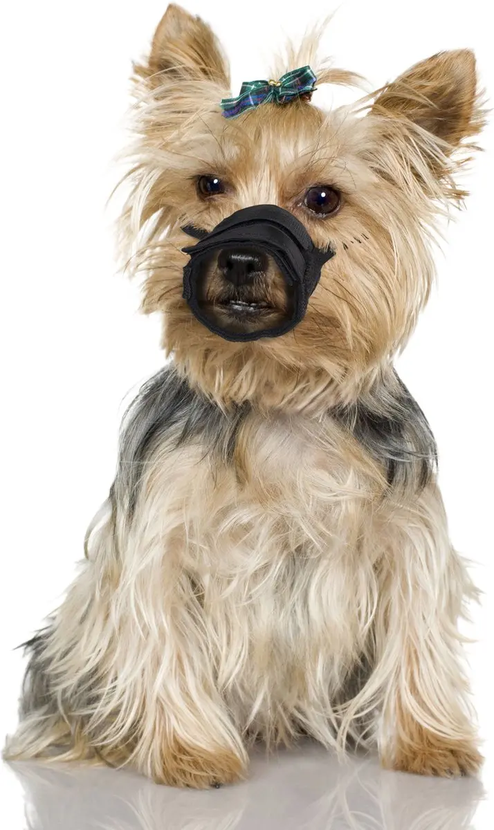 Flamingo Teddie Muilband Honden XXS - Zwart