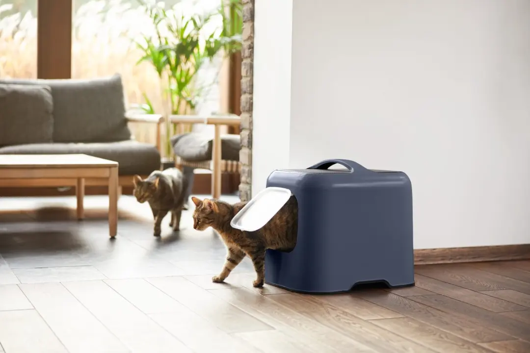 Rotho Biala Kattenbak - 0,65L - Midnight Blue