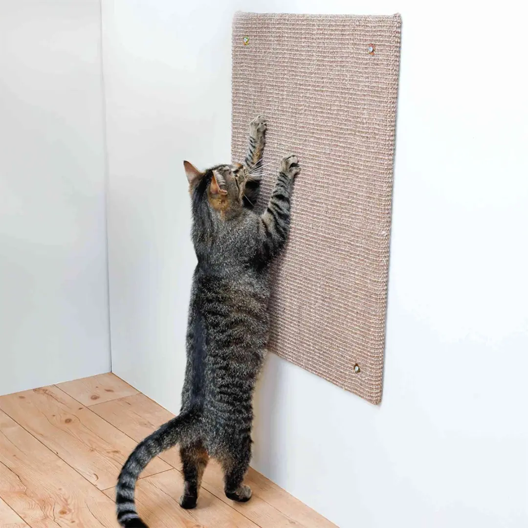 Trixie Krabplank XL - 70x50cm Taupe