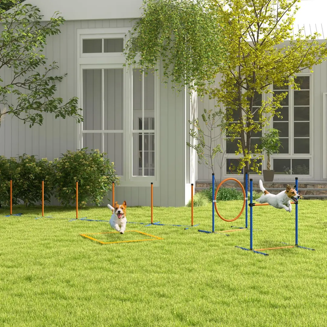 Pawhut Hunde Agility Set 4-delig - Orange/Blau