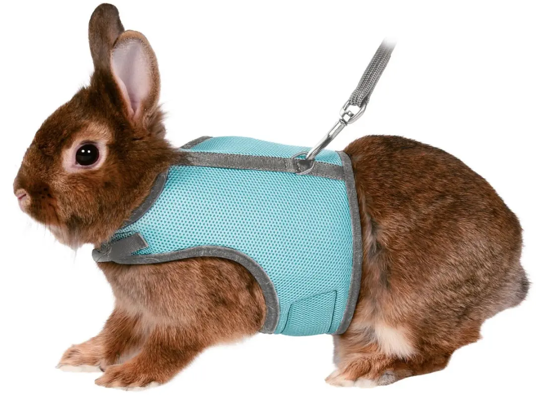 Trixie Tuig Knaagdieren 25-32cm - Assorti