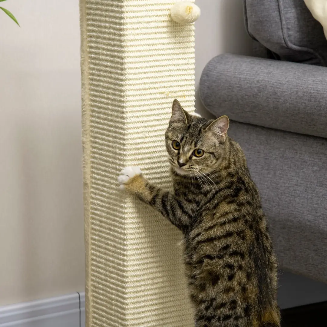 Pawhut Kratzbaum 80cm - Sisal Krabpaal Katten - Eik/Crèmewit