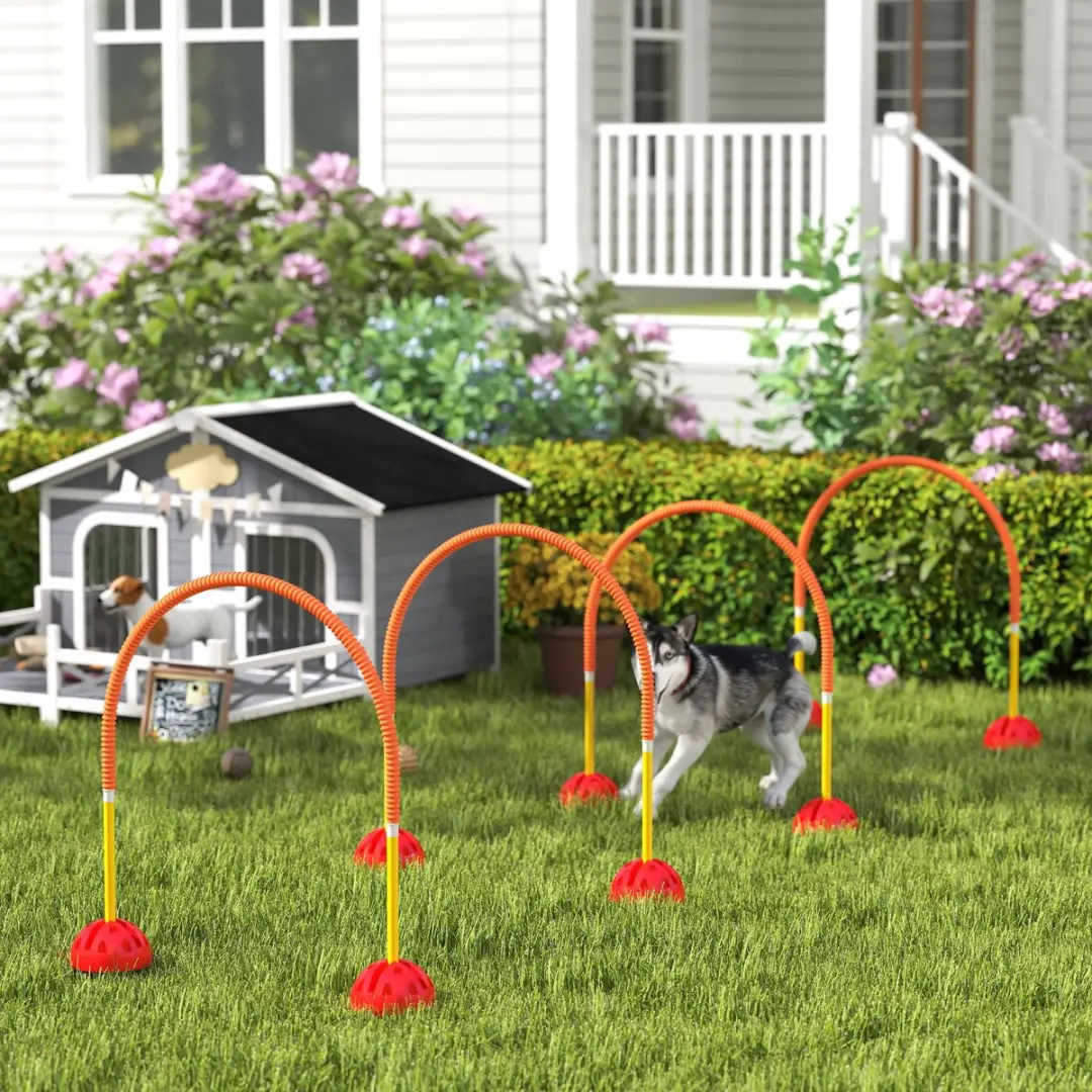 Pawhut Honden Agilityset 5-delig - Meerkleurig