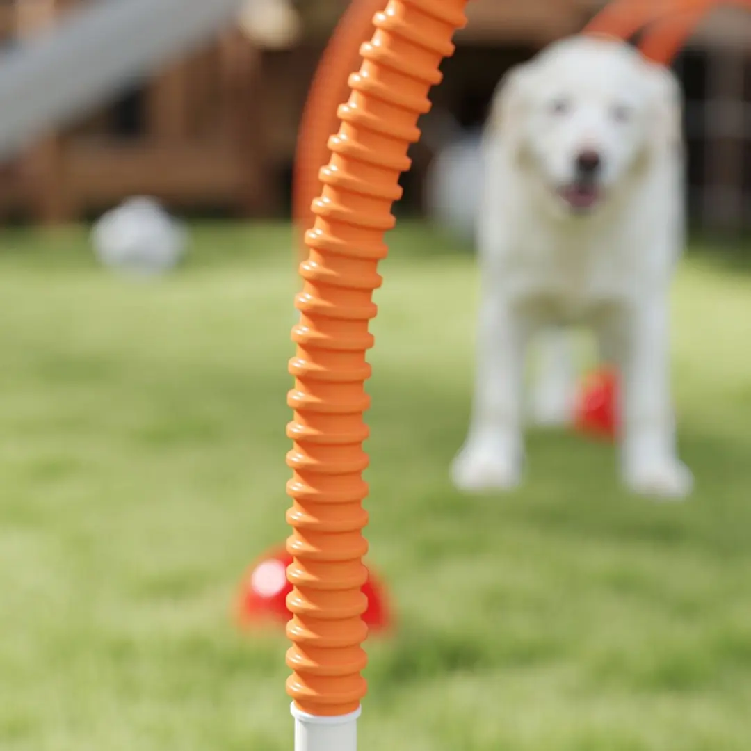 Pawhut Honden Agilityset 5-delig - Meerkleurig
