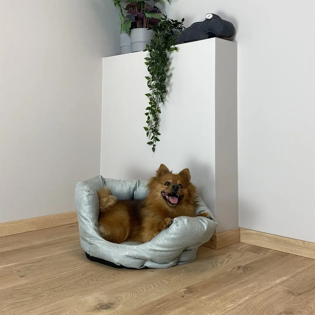 Duvo Dierenkussen Kat Mand Ovaal Royal 50x45x27cm Groen