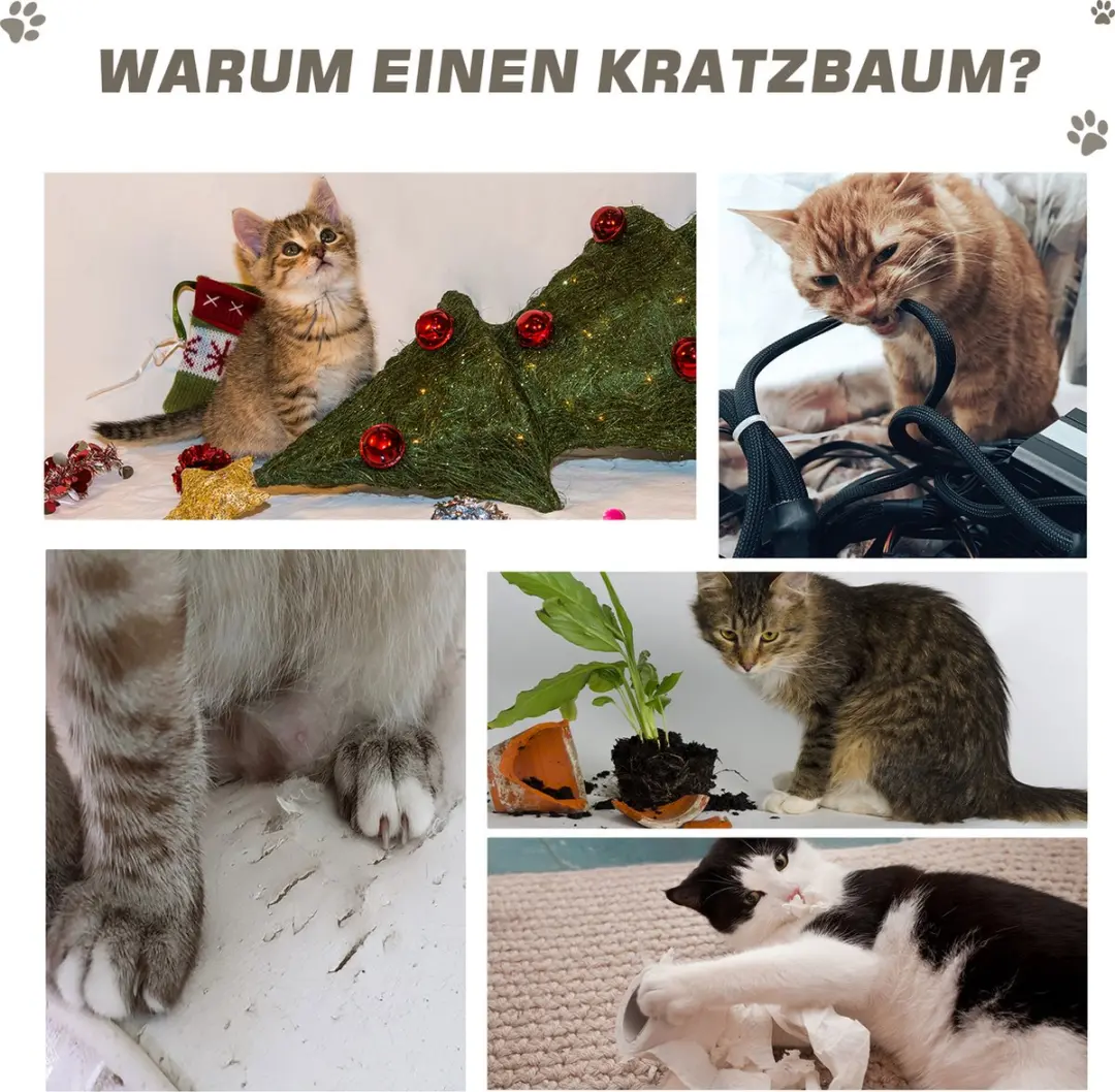 Pawhut Krabpaal Kattenboom D2-0027 - 6 Niveaus - 3 Ligplekken