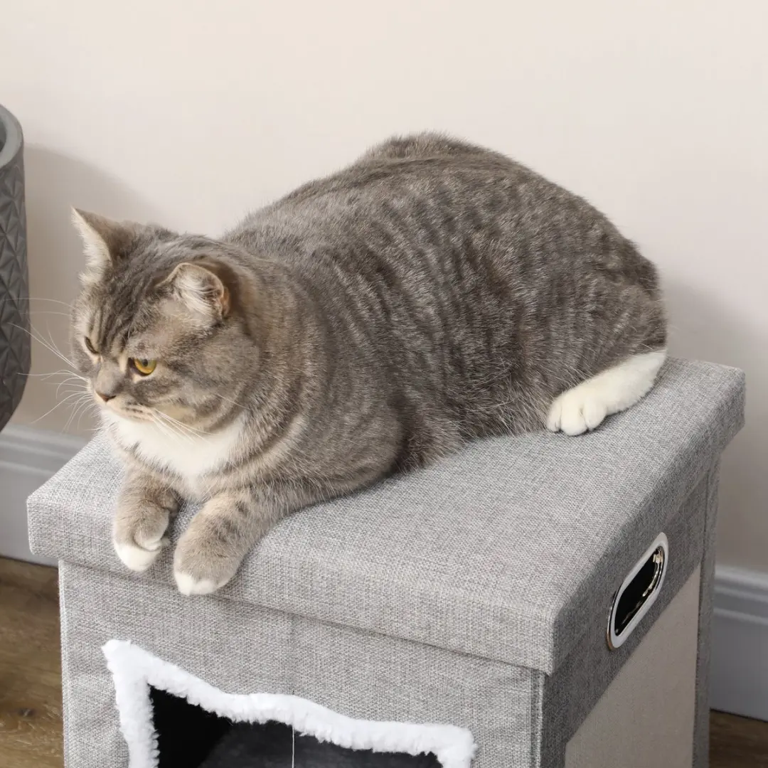 Pawhut Kattenhuis D30-679V00 - Grijs