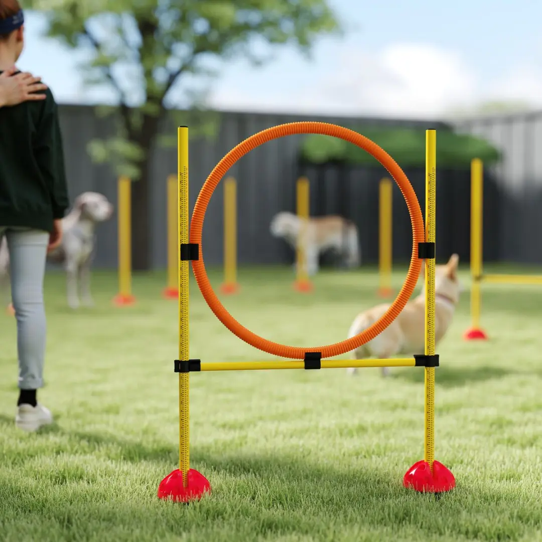 Pawhut Agility Set Honden - 3-delig - Gelb